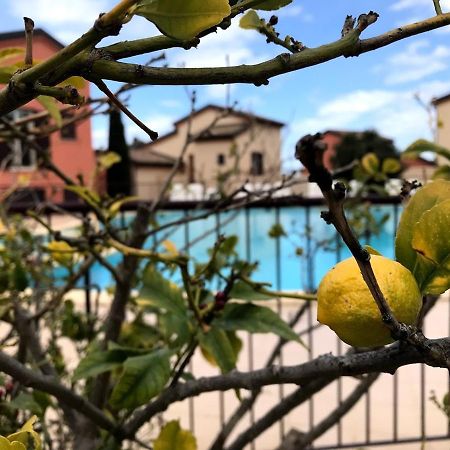 Appartement Dolce Farniente Belgodère Eksteriør billede
