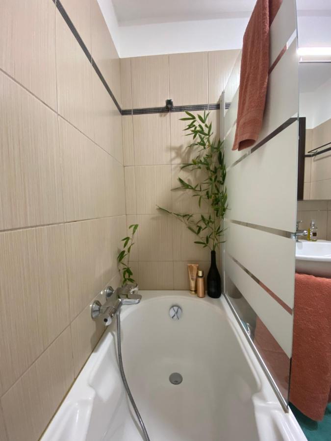 Appartement Dolce Farniente Belgodère Eksteriør billede